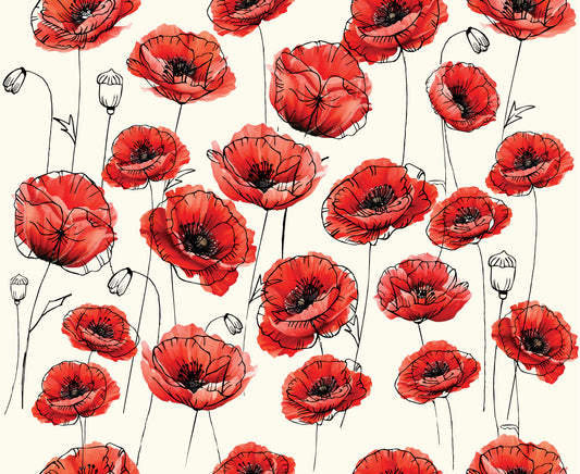 Forever poppies 1